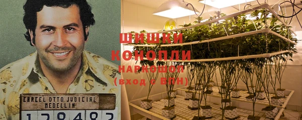 мескалин Михайлов