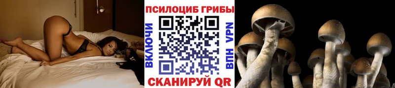 Псилоцибиновые грибы мицелий Осташков